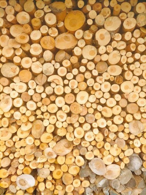 El Telar Arte Y Naturaleza Prádena Exteriér fotografie