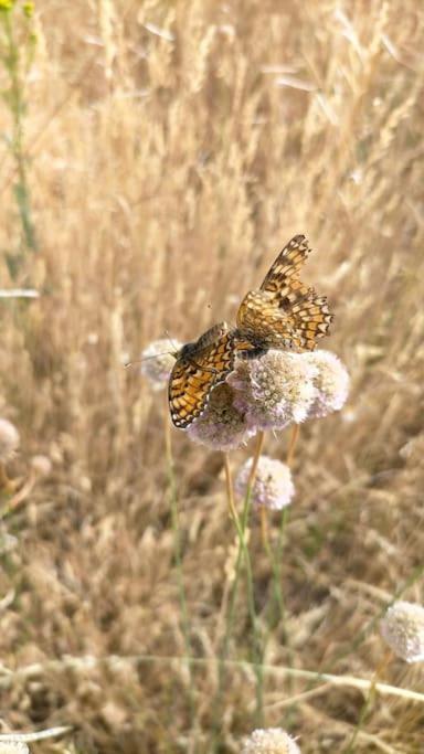 El Telar Arte Y Naturaleza Prádena Exteriér fotografie