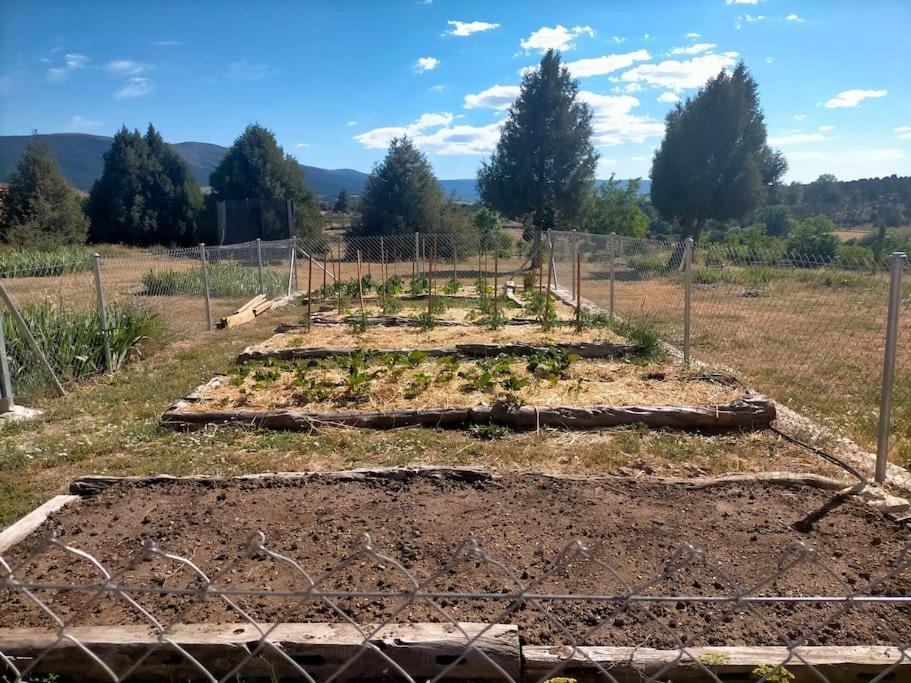 El Telar Arte Y Naturaleza Prádena Exteriér fotografie